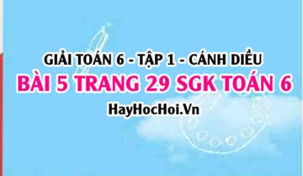 Giải bài 5 trang 29 Toán 6 Tập 1 SGK Cánh Diều